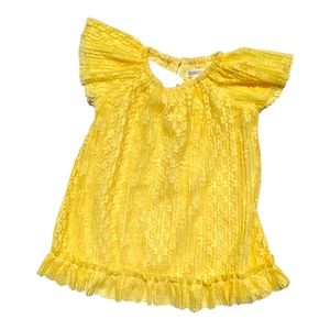 Gymboree Girls 2T Yellow Floral Lace Dress